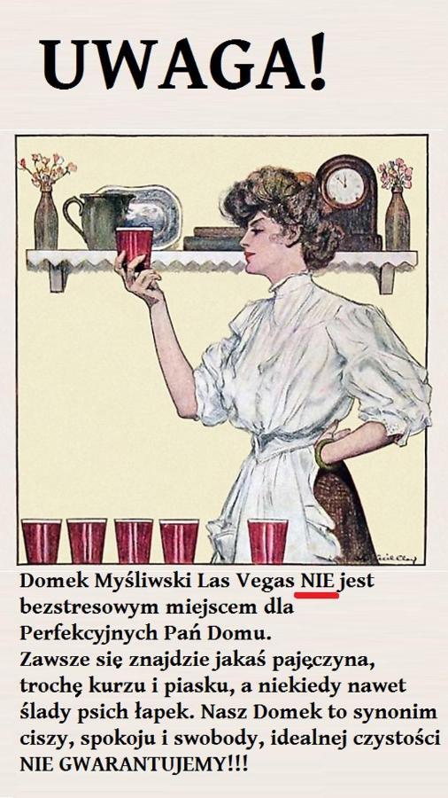 Domek Mysliwski Las Vegas Mierzyn  Exterior photo